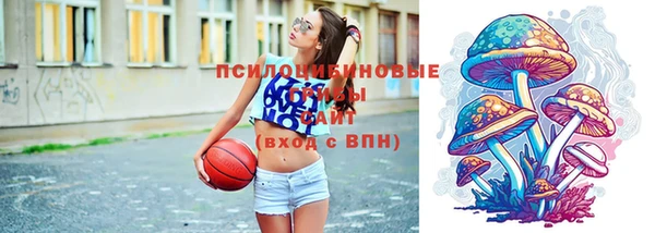 spice Абаза