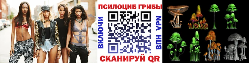 Псилоцибиновые грибы Psilocybe  blacksprut ССЫЛКА  Зубцов 
