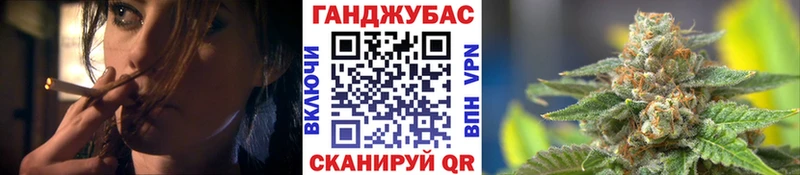 Конопля сатива  как найти   hydra как войти  Зубцов 